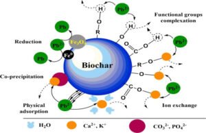 Complexation And Its Classification Notes Complexation- Application, Classification, Analysis and Drug action ...