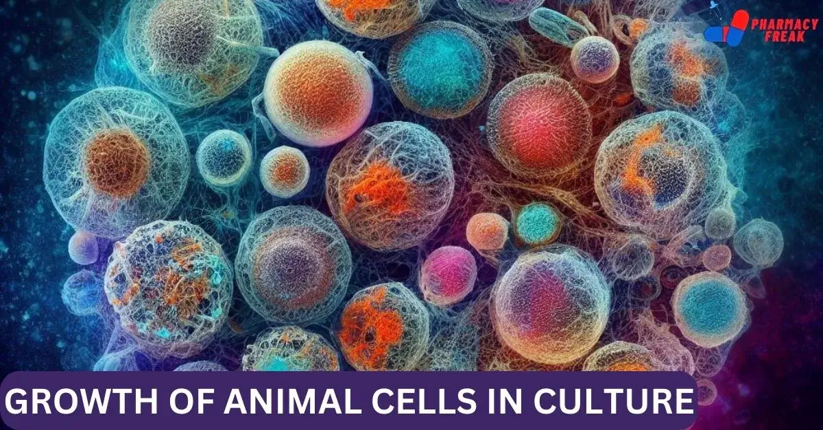 GROWTH OF ANIMAL CELLS IN CULTURE