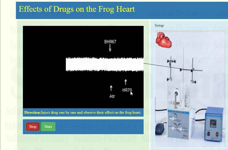Effect of 20 ug Atropine Sulphate on frog heart