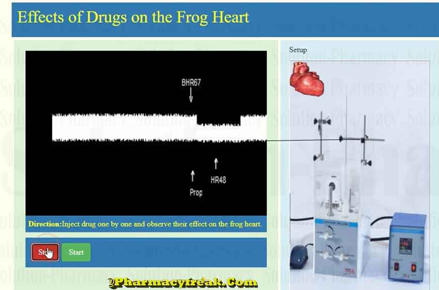 Effect of 200 ug propanolol on frog heart