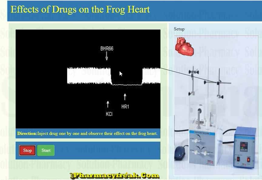 Effect of 2000 ug potassium chloride on frog heart