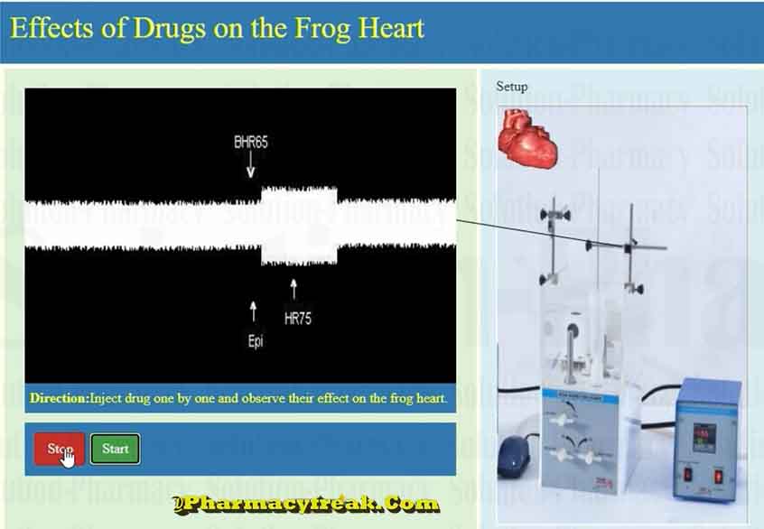 Effect of 2 ug epinephrine on frog heart