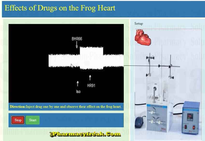 effect of 2ug isopreneline on frog heart