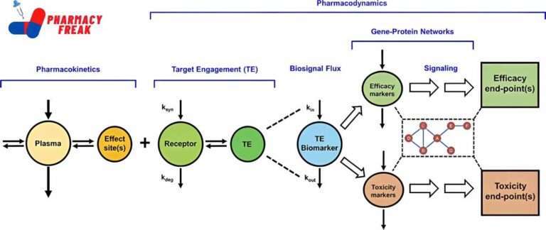 MCQ ON PHARMACODYNAMICS - Pharmacy Freak