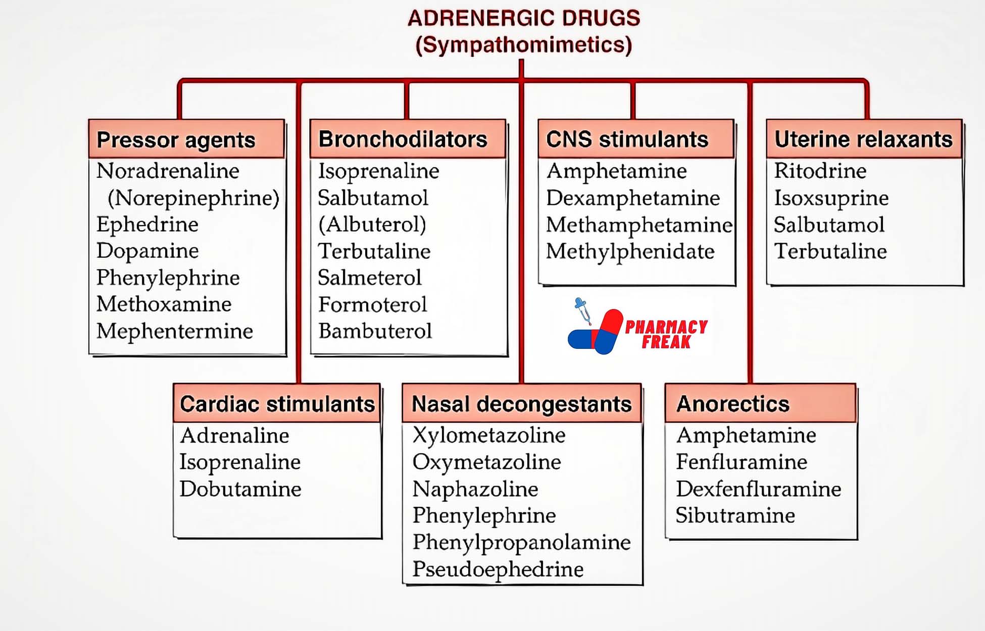 Classification Of Adrenergic Drugs Pharmacy Freak