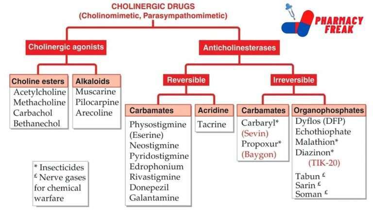 Cholinergic drugs classification