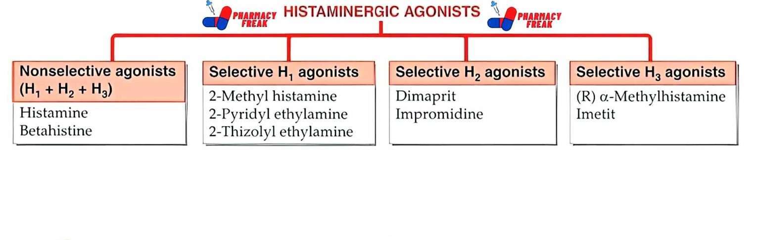 Classification Of Histaminergic Agonists Pharmacy Freak