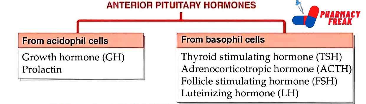 CLASSIFICATION OF ANTERIOR PITUITARY HORMONES