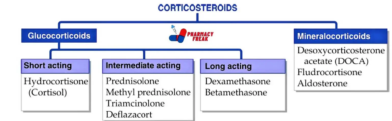 Classification of Corticosteroids