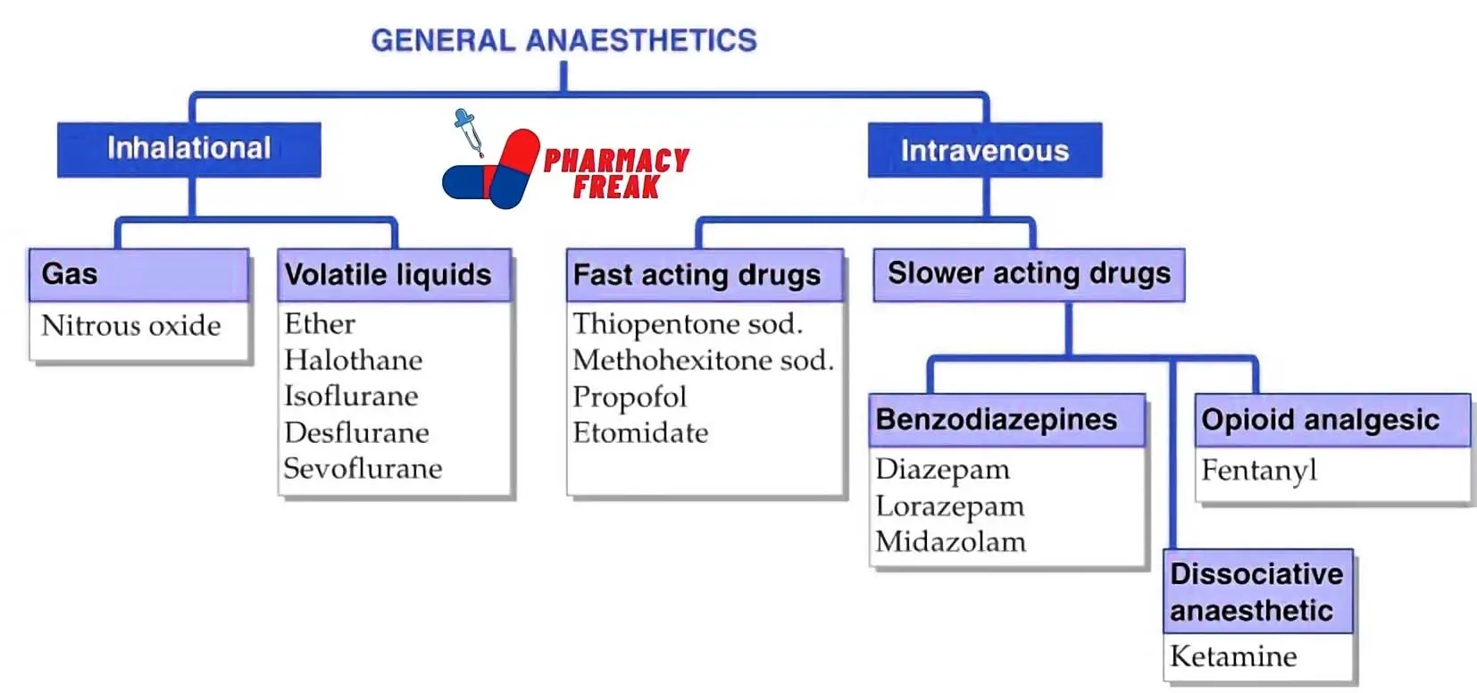 General Anesthetics 