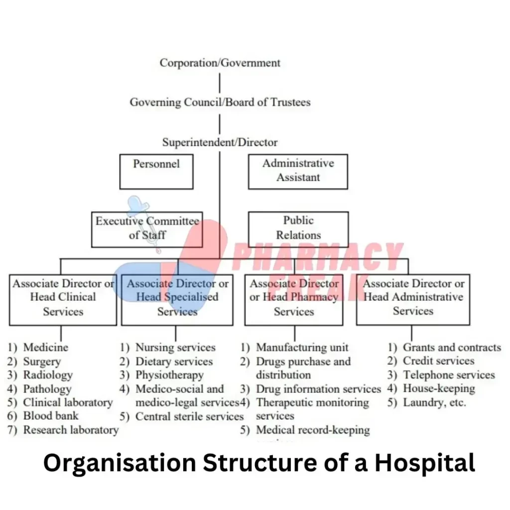 Hospital Organisation Structure 