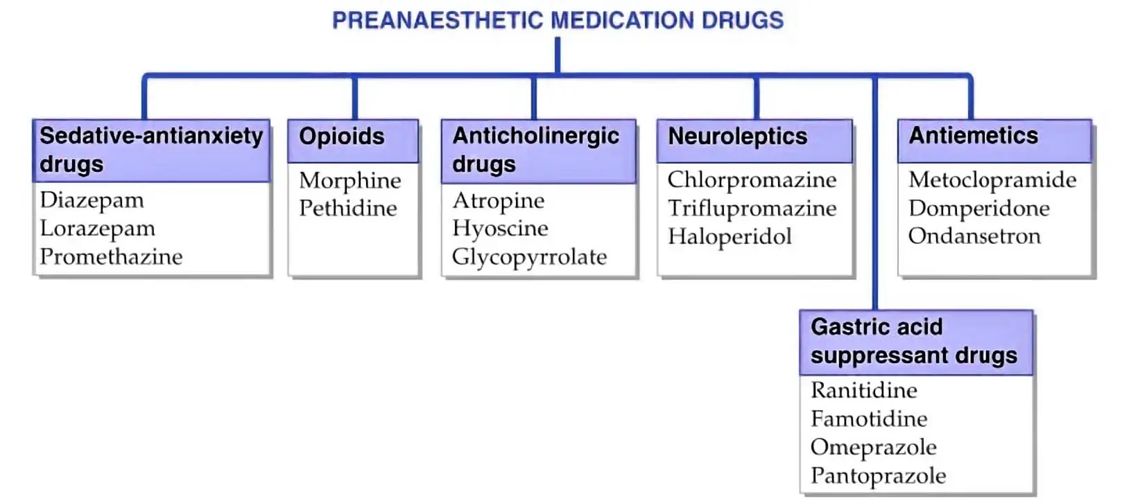 Pre-anesthetic Medication Drugs