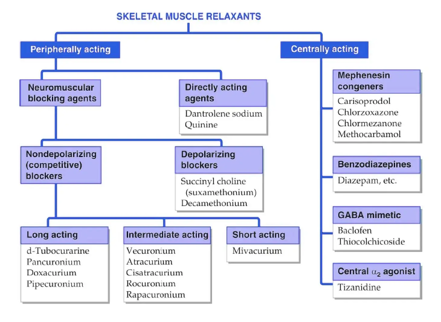 Classification of Skeletal Muscle Relaxants