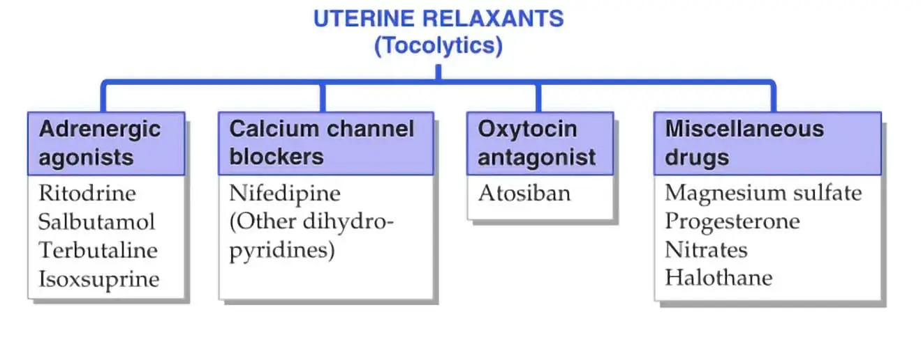 Classification of Uterine Relaxants