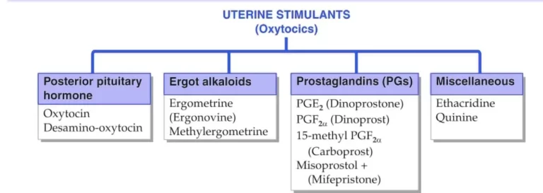 Classification of Uterine Stimulants