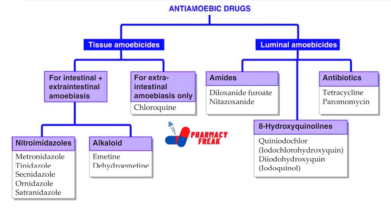 ANTIAMOEBIC DRUG CLASSIFICATION