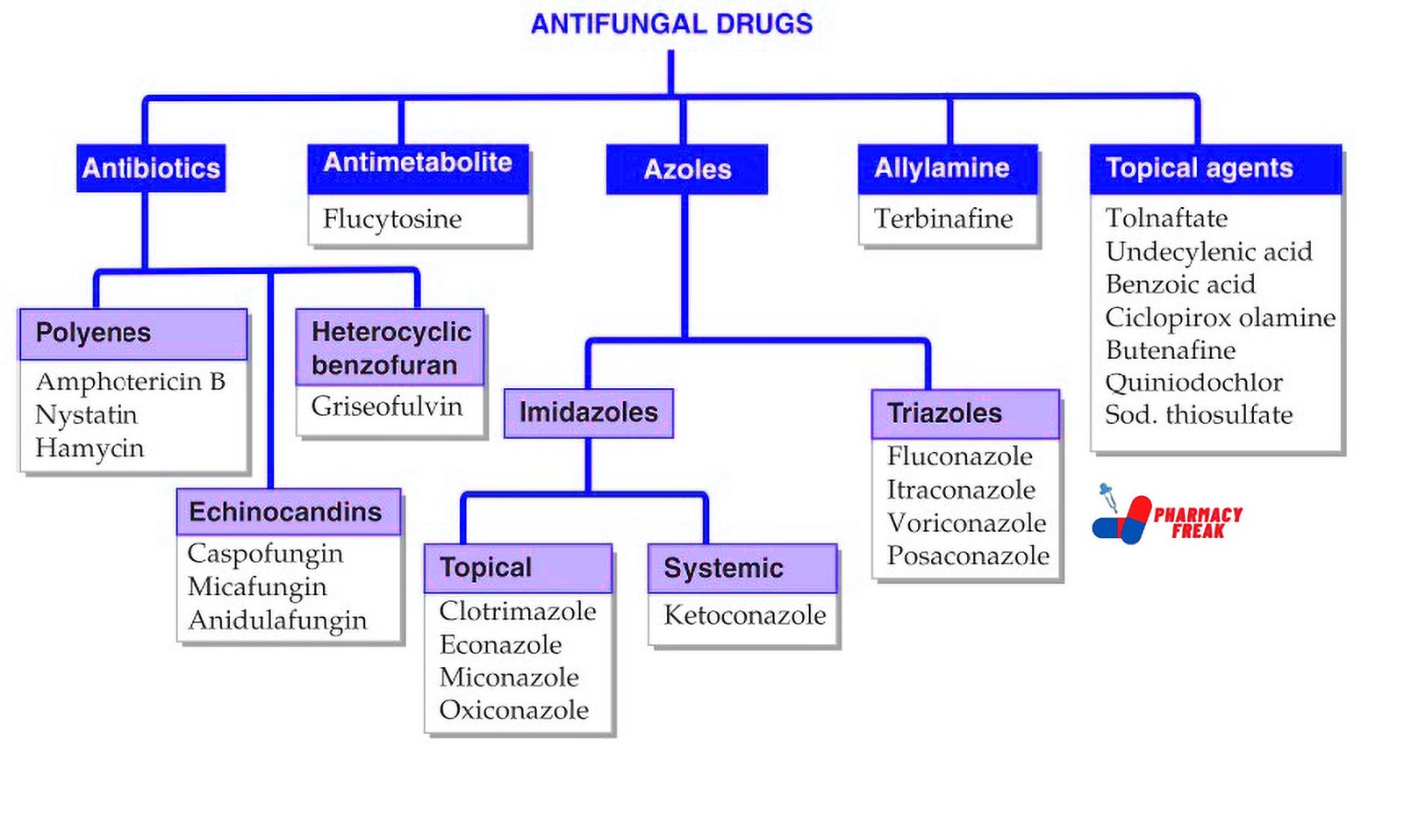 ANTIFUNGAL DRUGS CLASSIFICATION