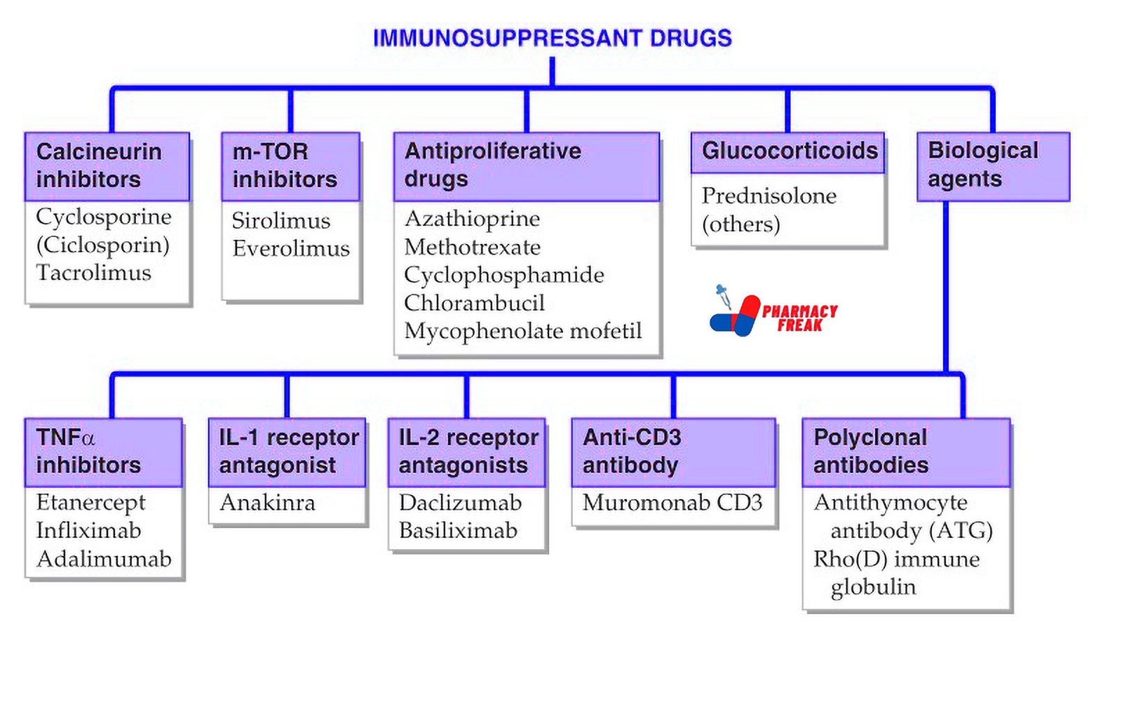 IMMUNOSUPRSSSANT DRUG CLASSIFICATION
