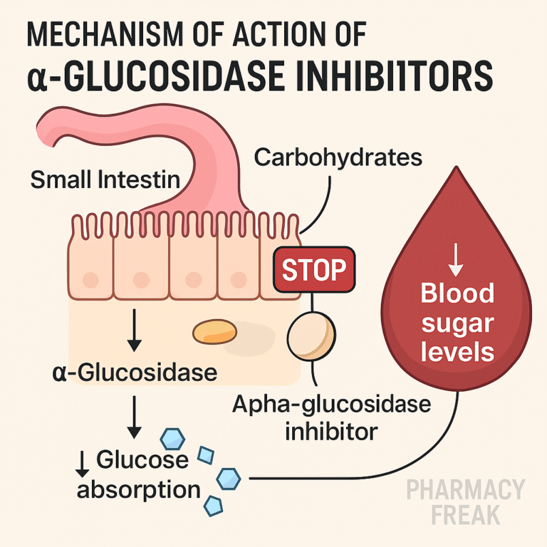 Alpha-glucosidase inhibitors mechanism – delayed carbohydrate digestion at intestinal brush border