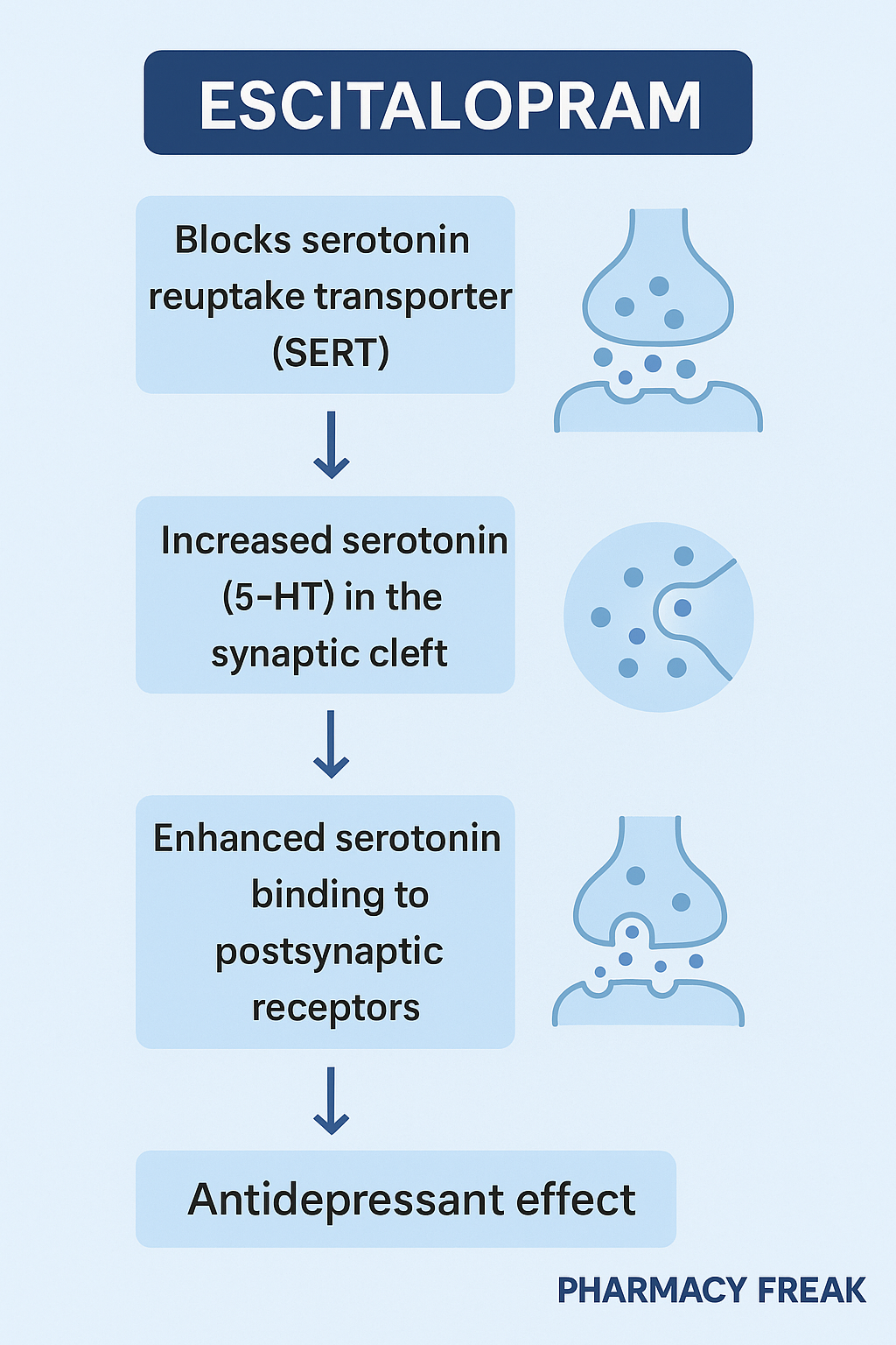 Escitalopram mechanism of action – selective serotonin reuptake inhibition and enhanced serotonergic transmission
