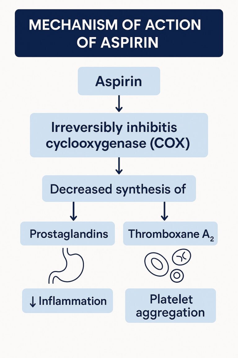 Stepwise mechanism of action of Aspirin showing COX inhibition and antiplatelet effect