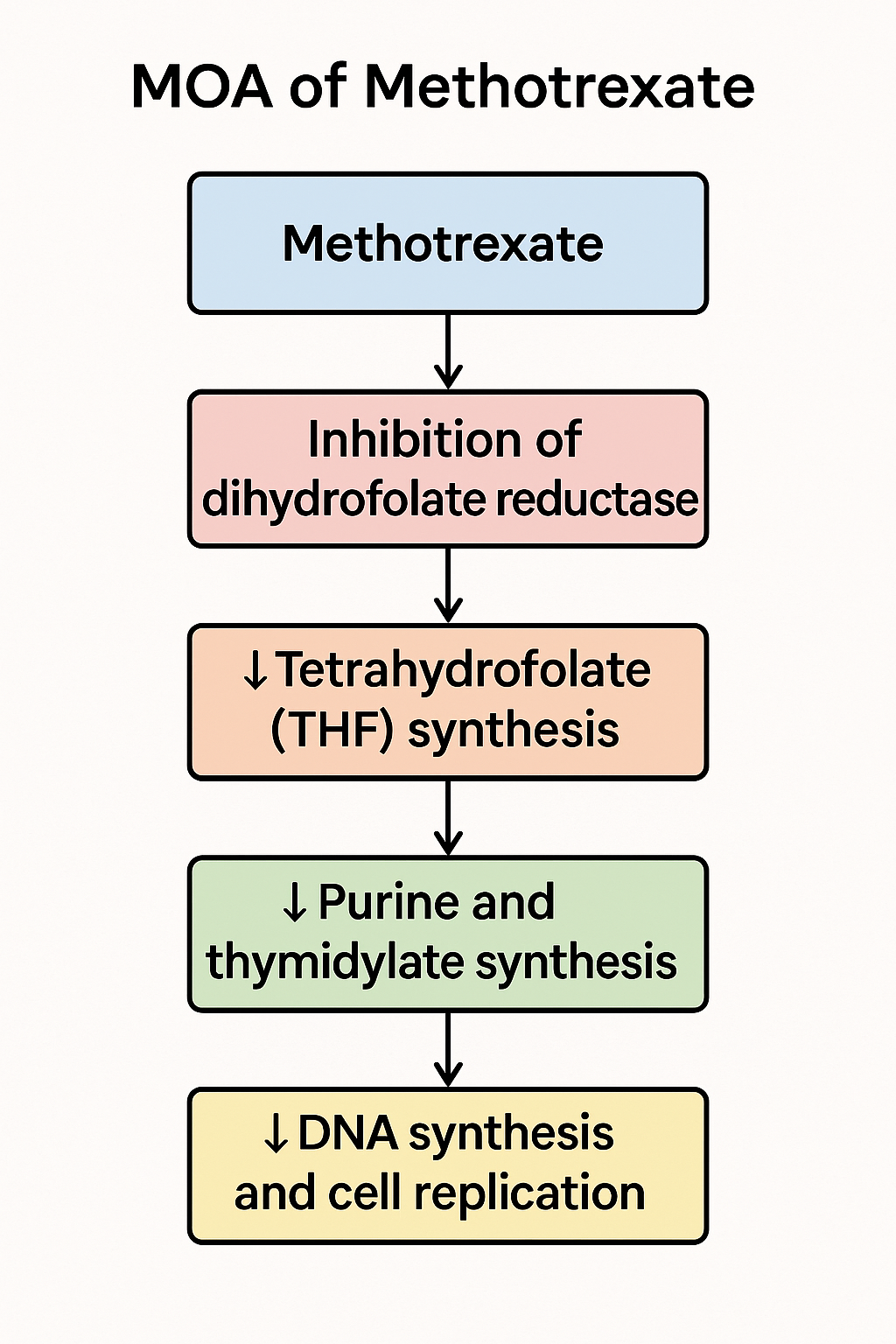 Flowchart of Methotrexate mechanism of action showing DHFR inhibition and suppression of DNA synthesis in S-phase
