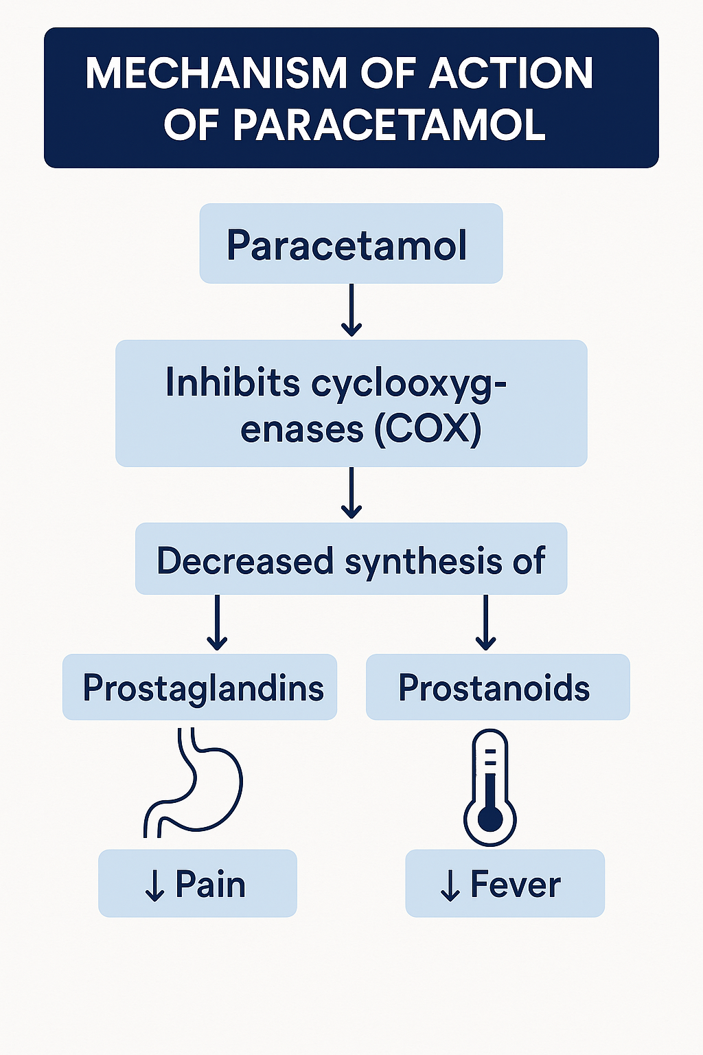 Paracetamol mechanism of action – central COX inhibition and antipyretic action via hypothalamus