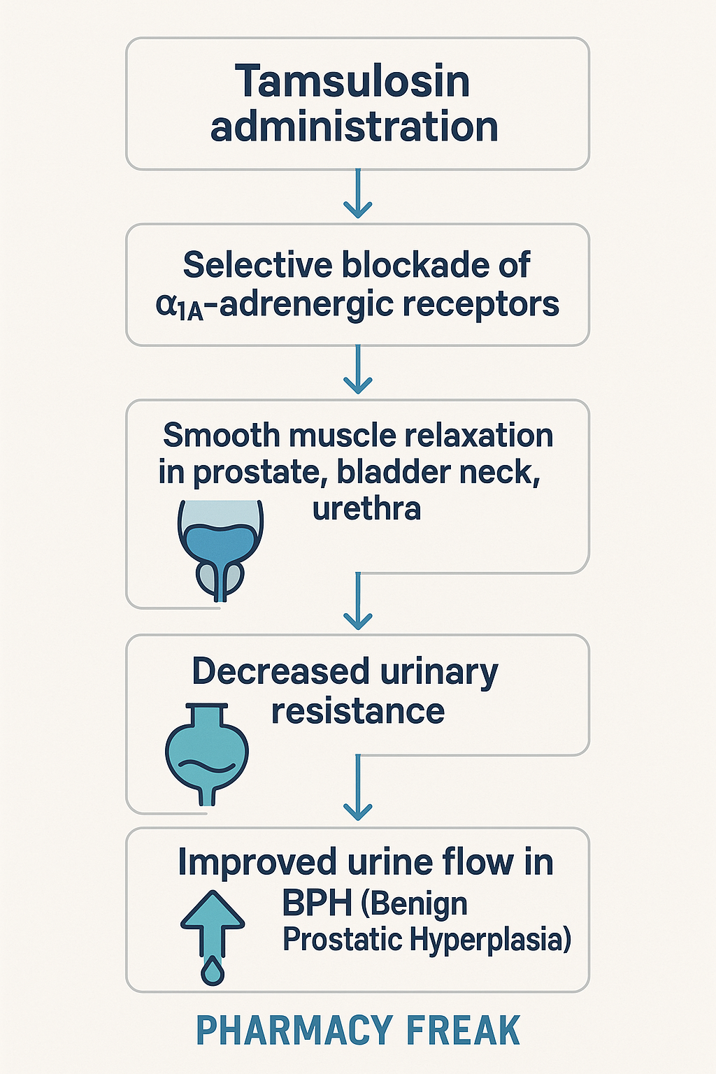 Tamsulosin Mechanism Flowchart