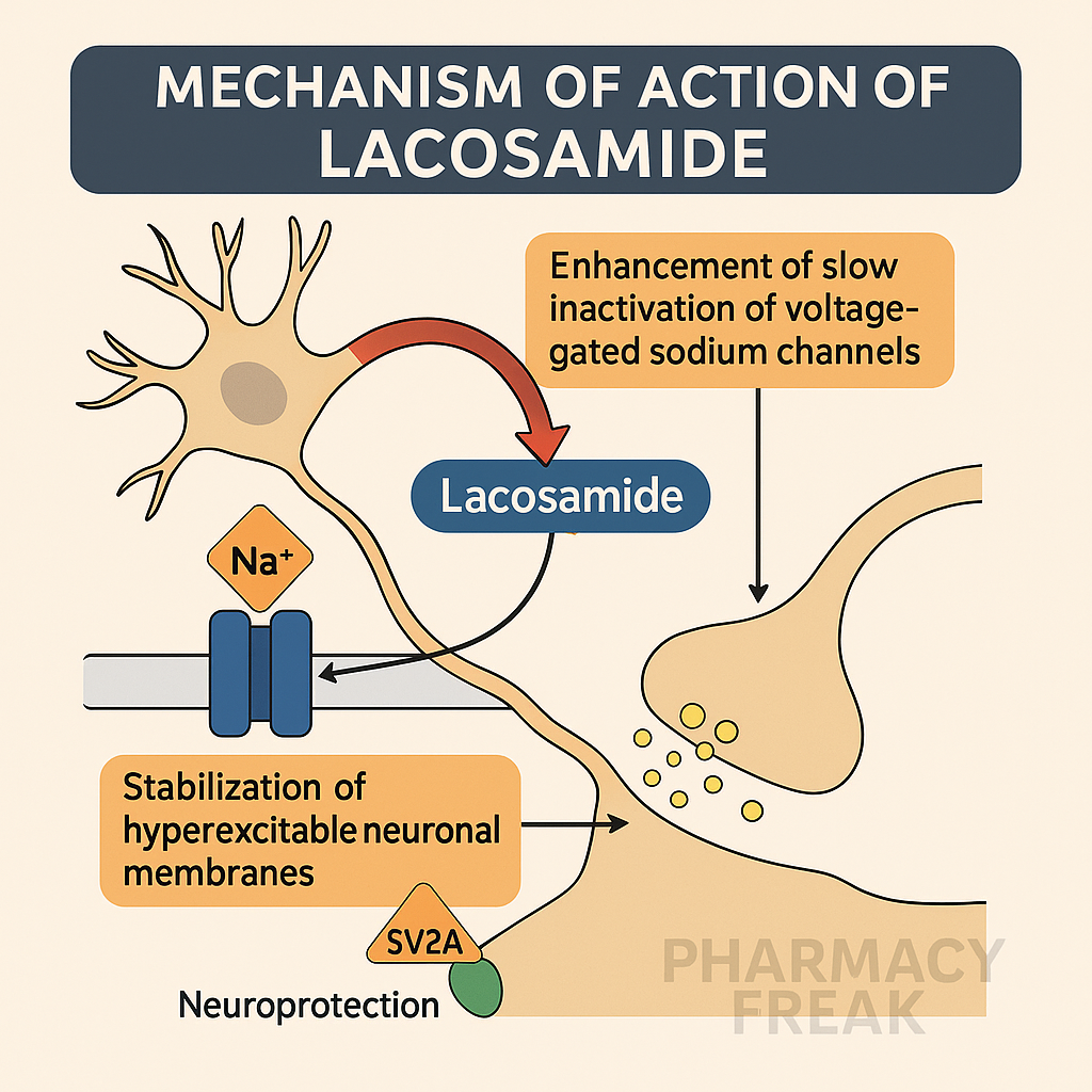 Lacosamide MOA – Enhances slow inactivation of sodium channels in epilepsy
