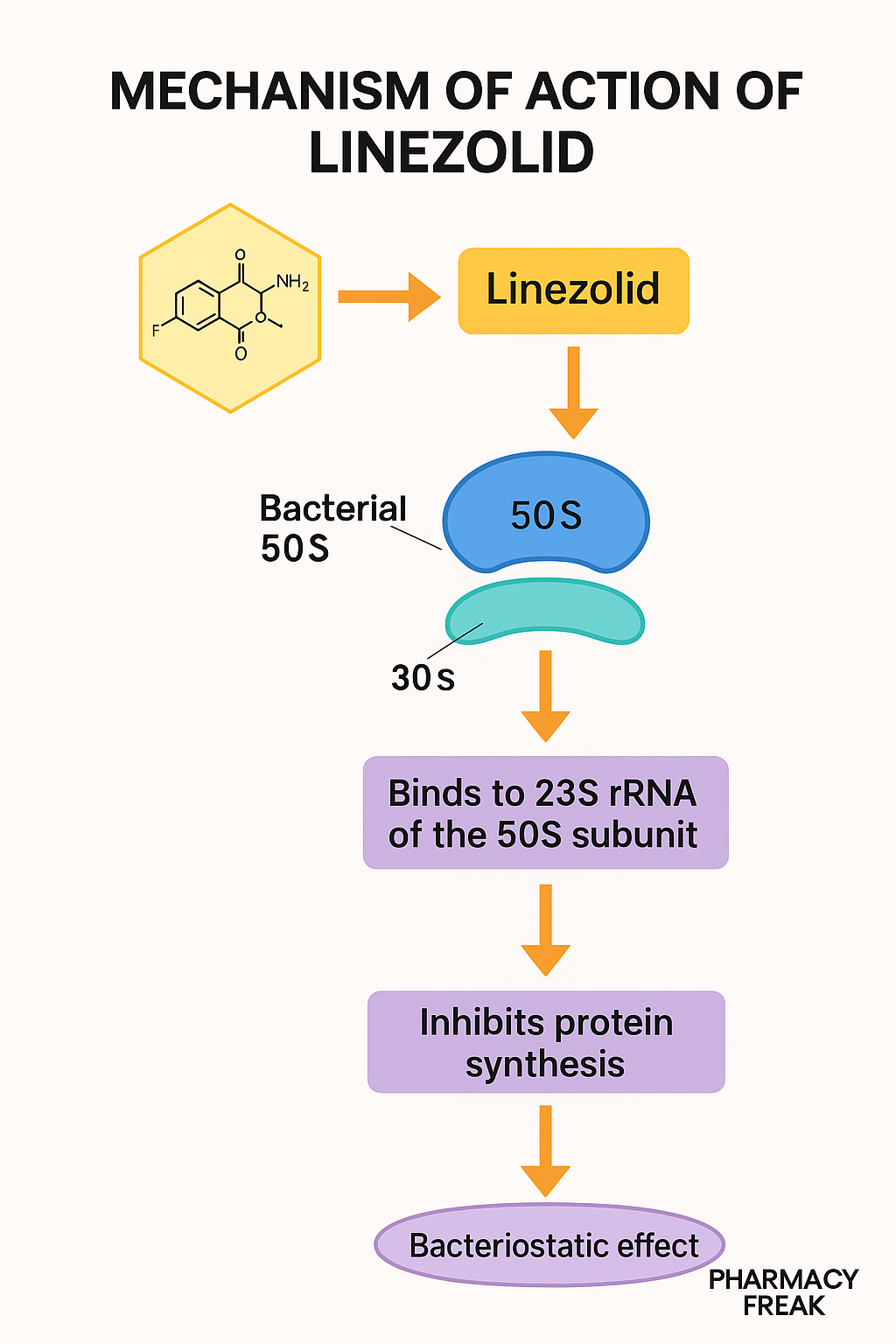 Mechanism of Action of Linezolid Flowchart linezolid mechanism of action, oxazolidinone antibiotic MOA