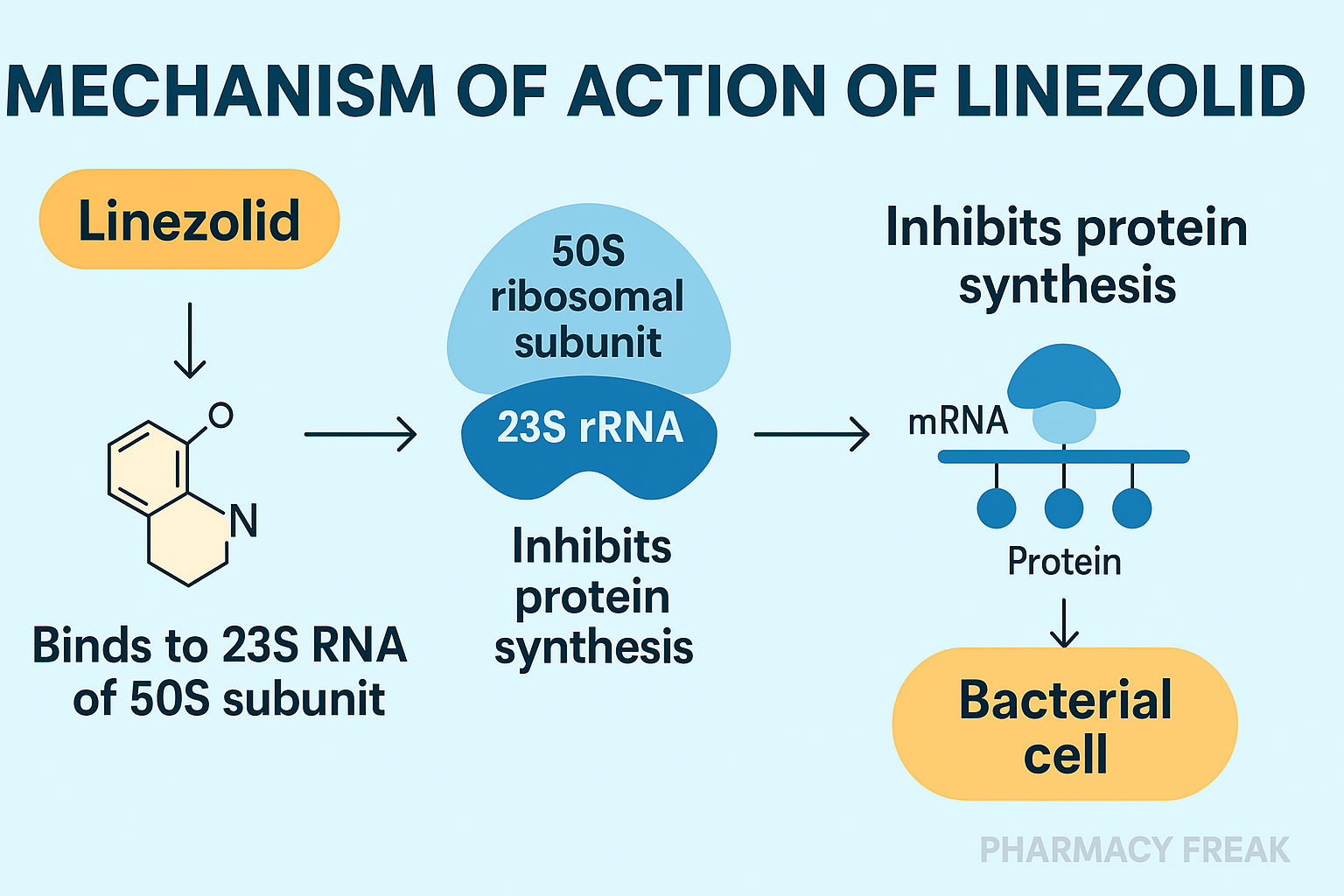 Linezolid MOA – 50S ribosomal subunit and initiation inhibition