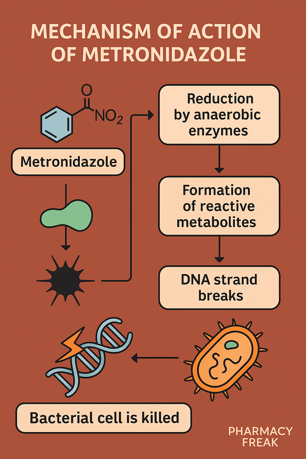 Metronidazole MOA FLOWCHART