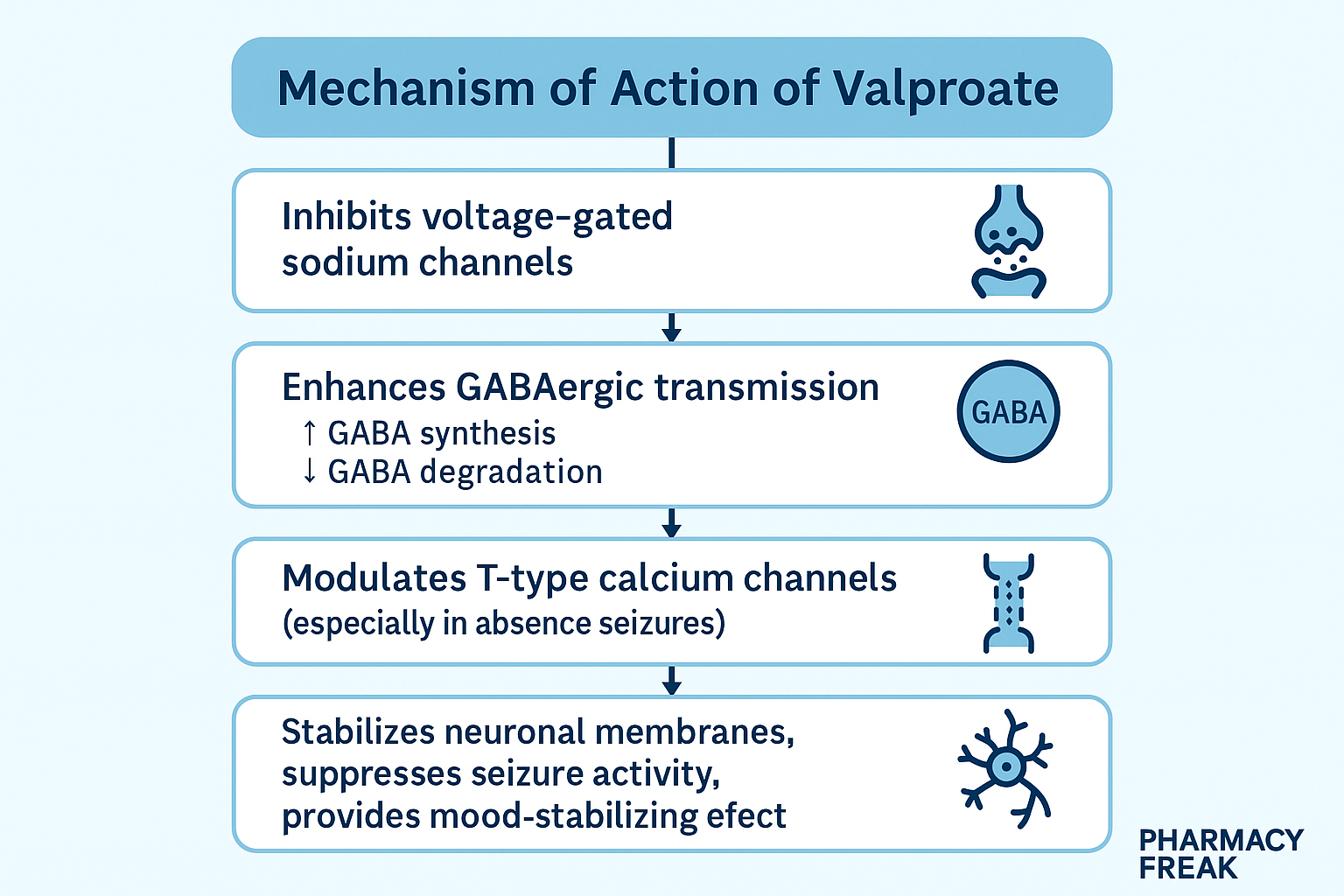 Valproate mechanism of action – GABA elevation and ion channel blockade