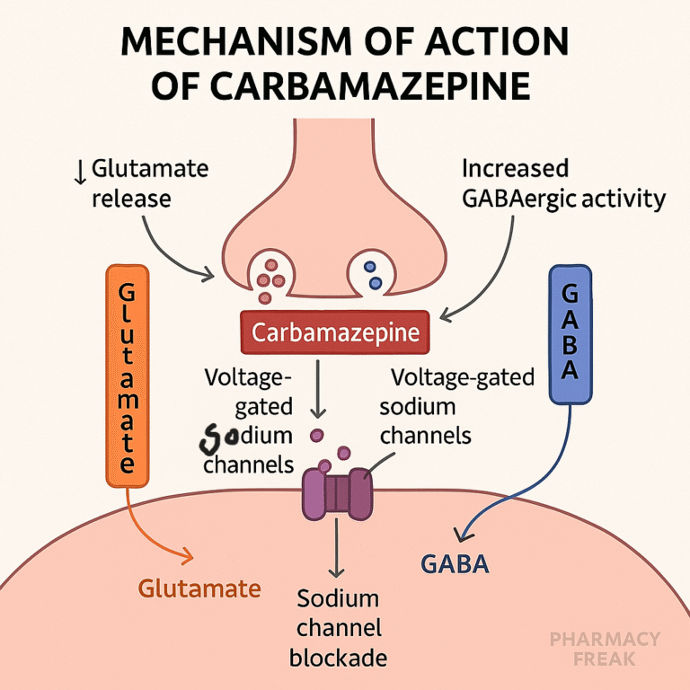 Carbamazepine mechanism of action – sodium channel blocker in epilepsy and neuralgia
