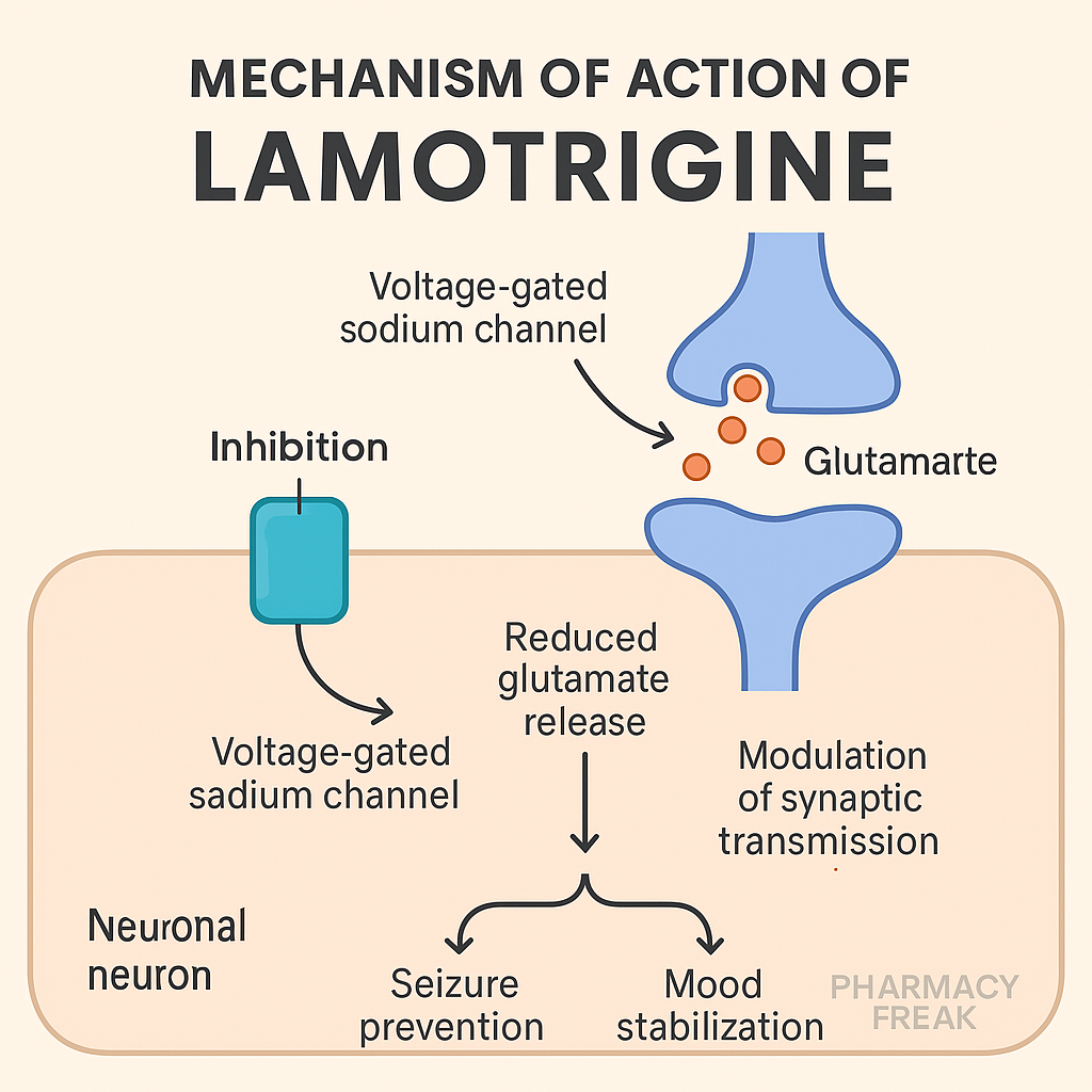 Lamotrigine MOA – sodium channel blocker and glutamate inhibito