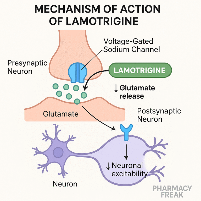 Lamotrigine MOA – sodium channel blocker and glutamate inhibitor