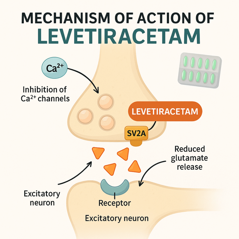 Levetiracetam MOA – SV2A modulation in epilepsy