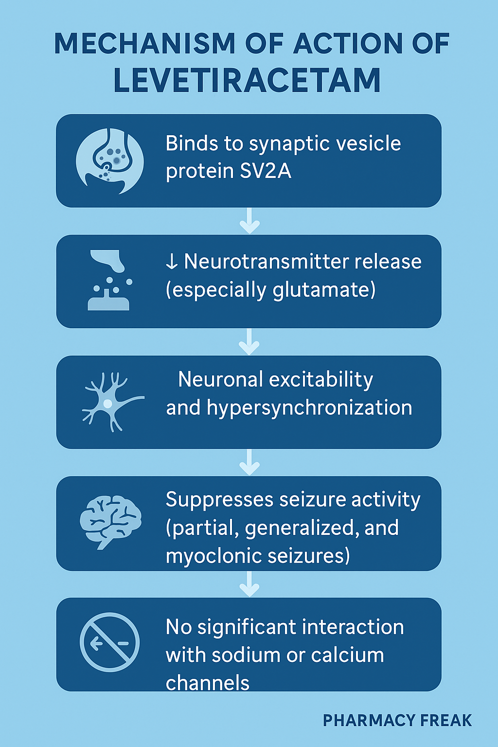 Levetiracetam MOA – SV2A modulation in epilepsy