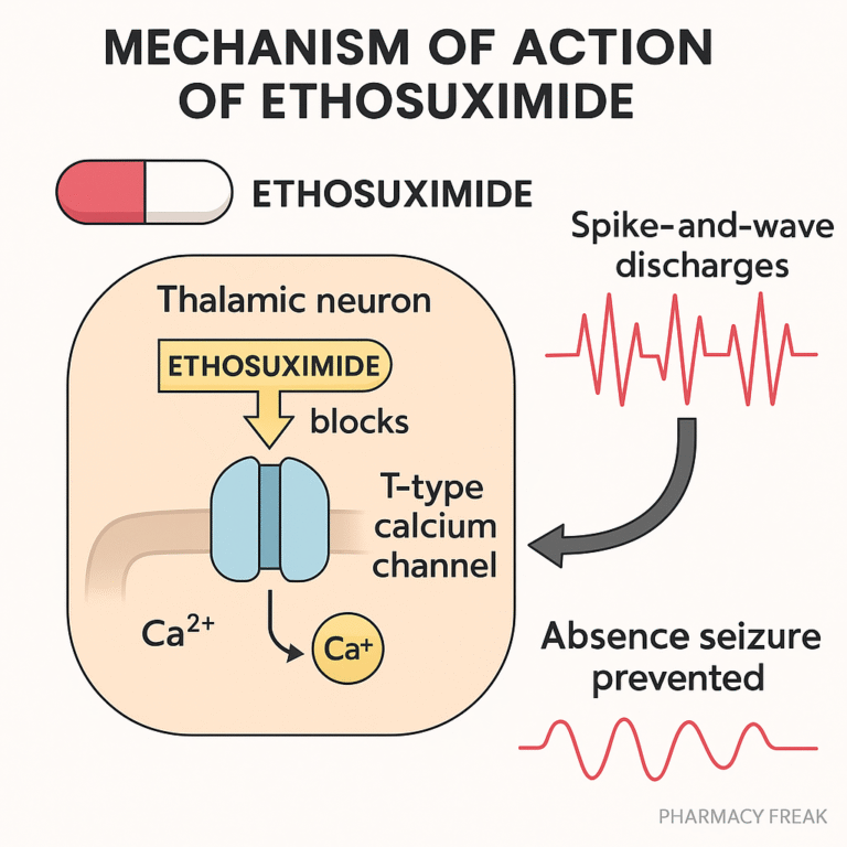 Ethosuximide MOA – T-type calcium channel blocker for absence seizures