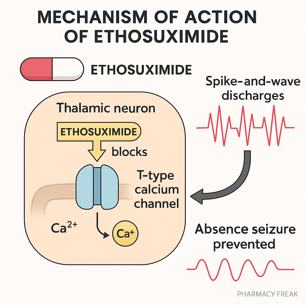 Ethosuximide MOA – T-type calcium channel blocker for absence seizures