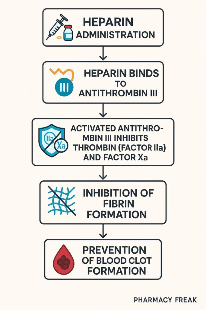 Flowchart of heparin mechanism of action