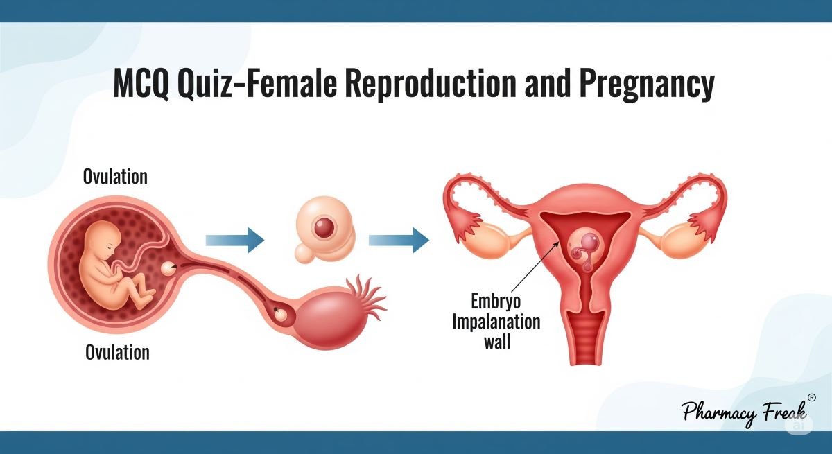 MCQ Quiz-Female Reproduction and Pregnancy