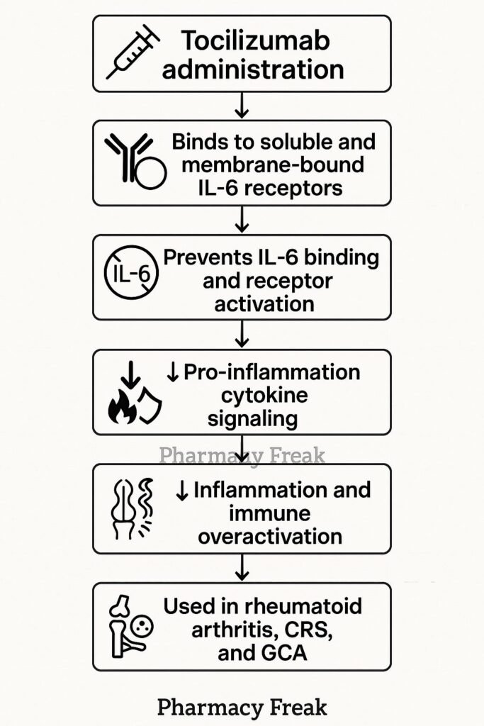 Mechanism of action of Tocilizumab flowchart