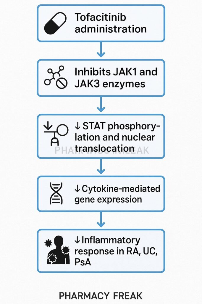  Mechanism of action of Tofacitinib flowchart