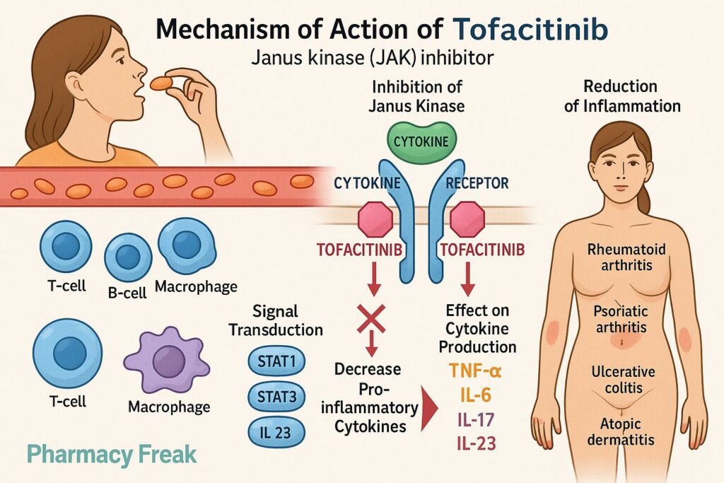 Tofacitinib mechanism of action