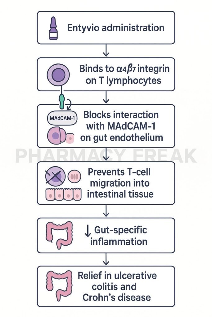 Mechanism of action of Entyvio flowchart