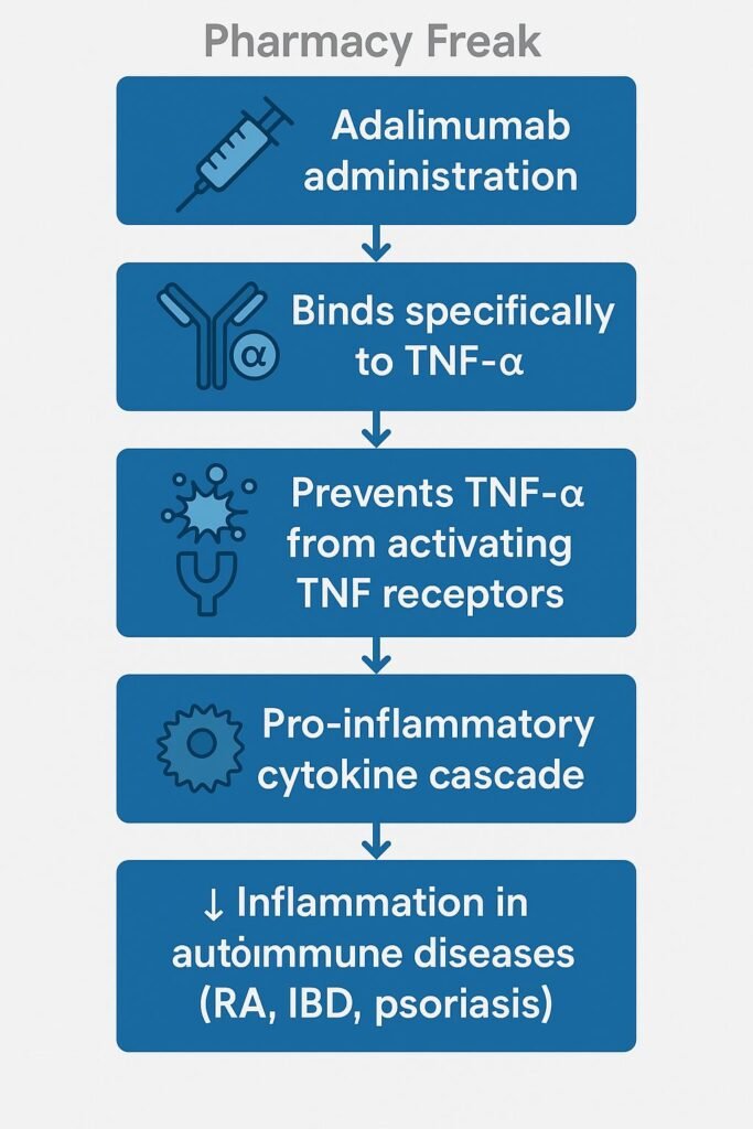 Mechanism of action of Adalimumab flowchart
