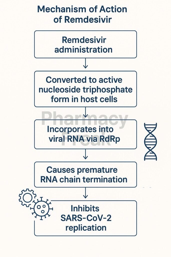 Mechanism of action of Remdesivir flowchart