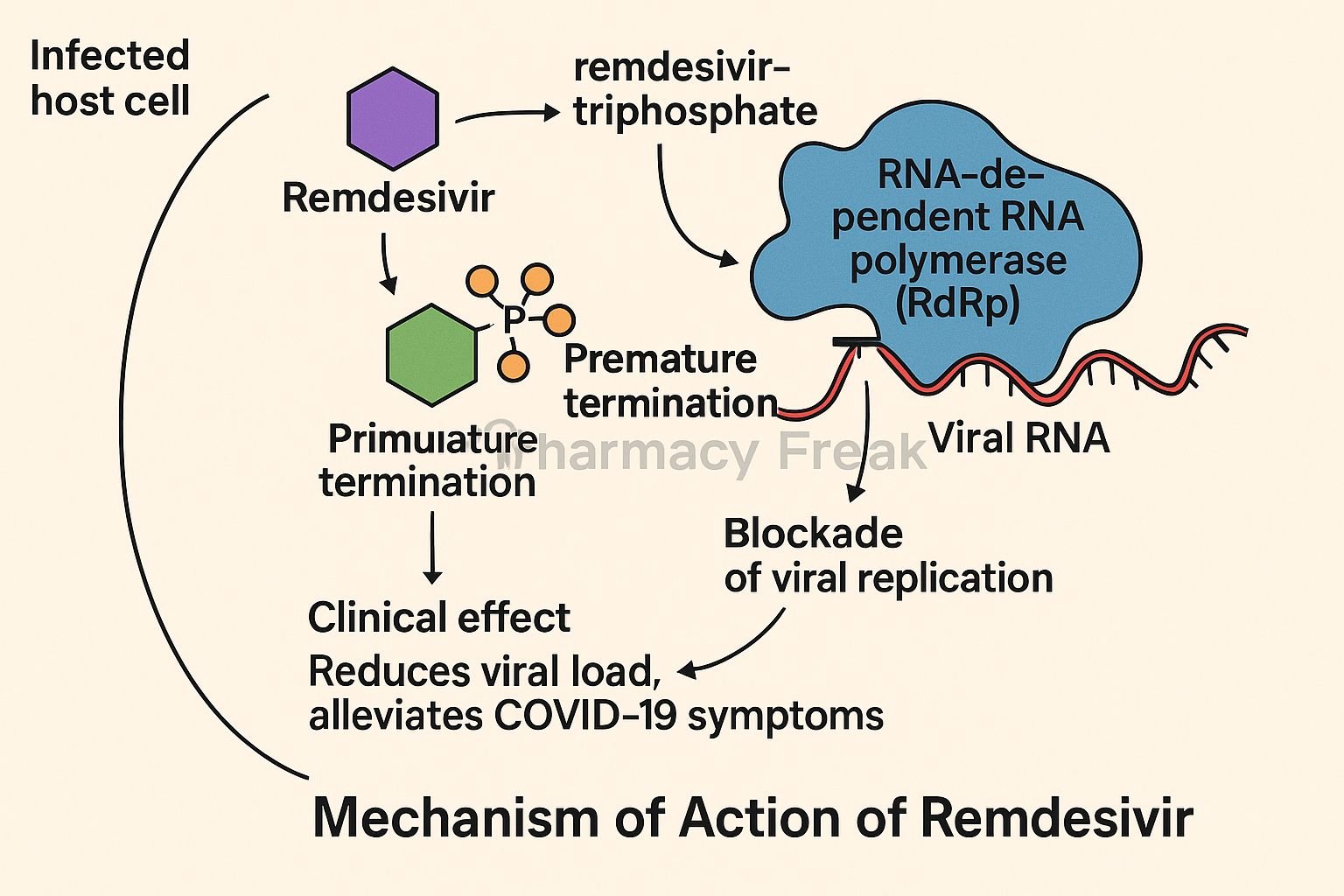 Mechanism of action of Remdesivir