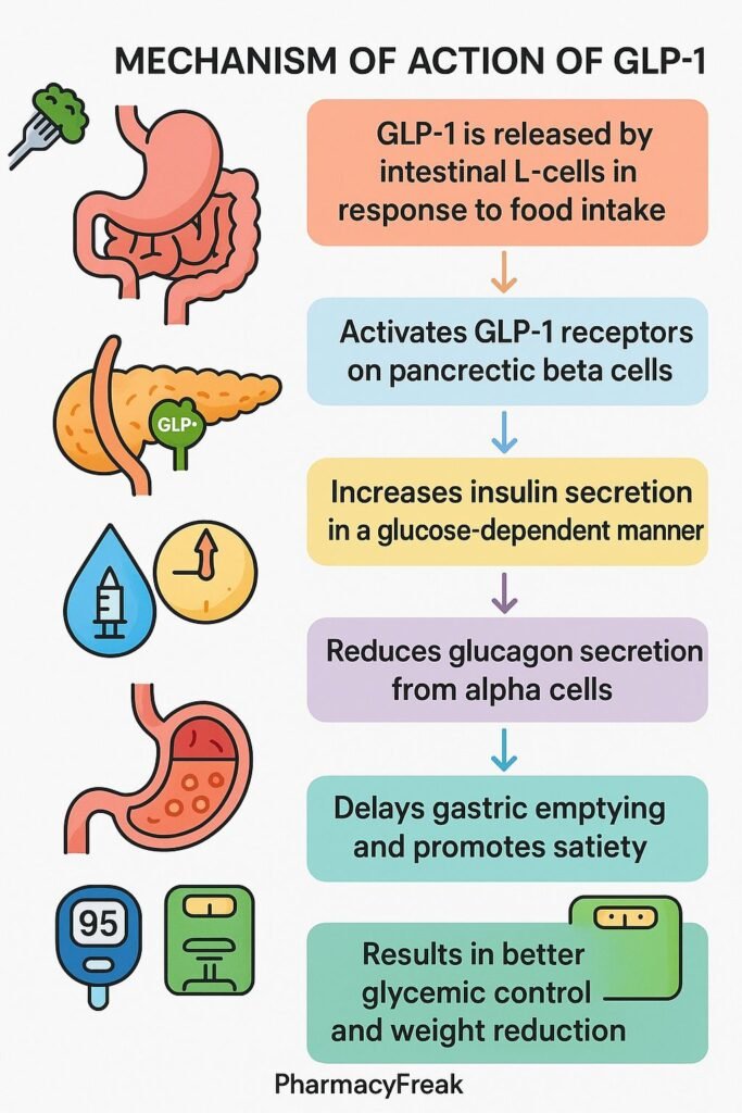 Mechanism of action of GLP-1